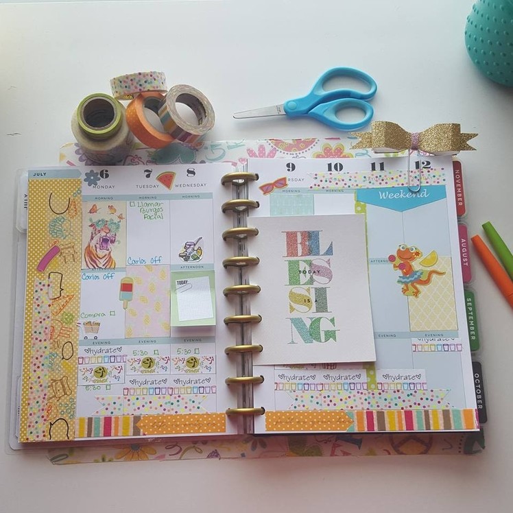 Plan With Me  :  The Happy planner (MAMBI)