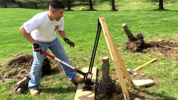 Remove tree stump with hi-lift jack