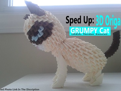 Sped Up: 3D Origami - Grumpy Cat