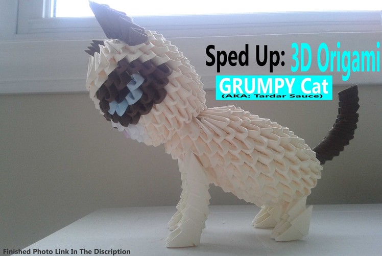 Sped Up: 3D Origami - Grumpy Cat