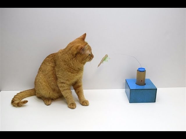 How to make a Toy  for a CAT from a cardboard with own hands