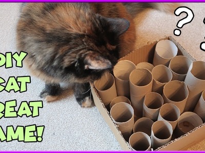 DIY Cat Game | Make Interactive Cat Tube Game! Recycled Cardboard Game For Cats!