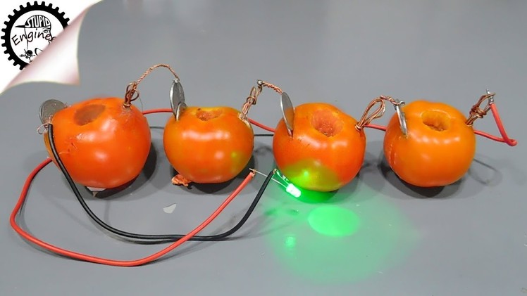 Diy tomato battery | Produce Electricity using Tomato | tomato battery | Stupid Engineer
