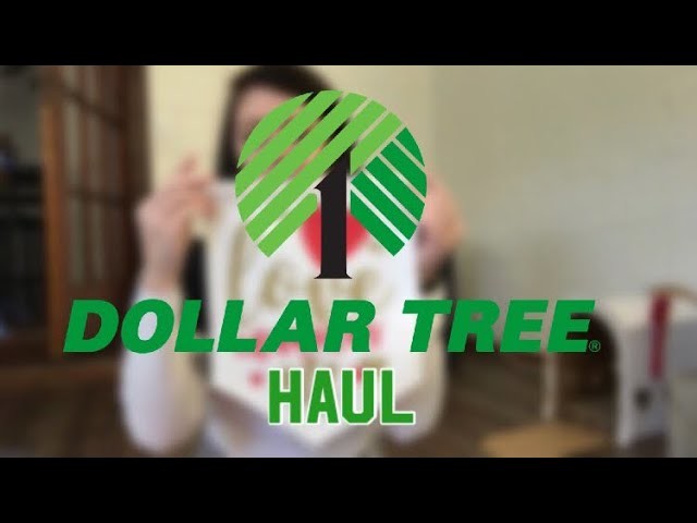 Dollar Tree Haul: Valentines Day Decor, DIY Supplies & Easter Candy | January 8, 2018