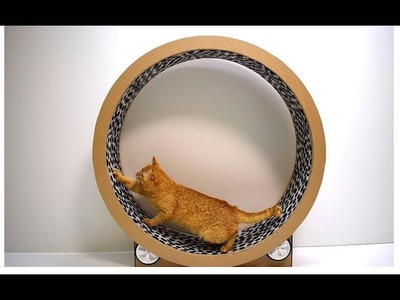 Cats Running Wheel from cardboard Cat Exercise Wheel Game trainer for cats