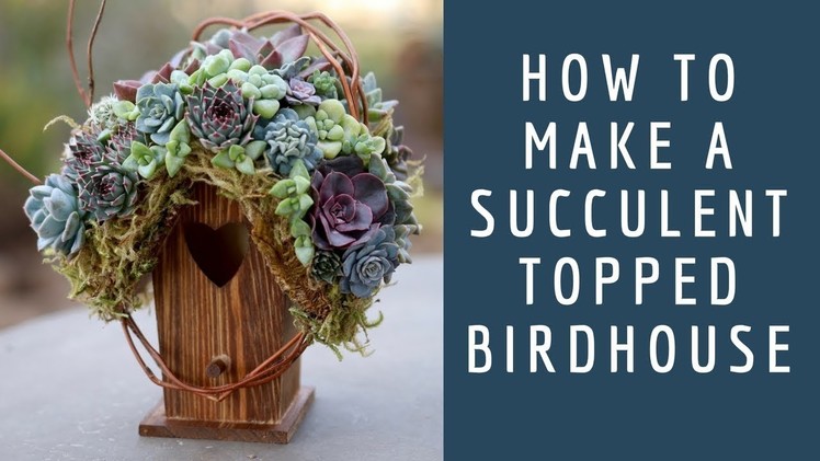 How to Make a Succulent Topped Birdhouse. Garden Answer