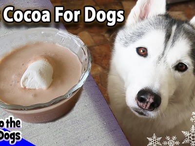 How To Make Hot Chocolate for Dogs | DIY Easy Dog Treats Recipe 91