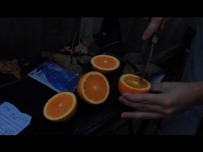 Orange Trick - Bet you will always win