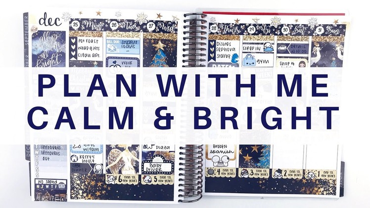 Plan With Me: Calm & Bright | Erin Condren Life Planner