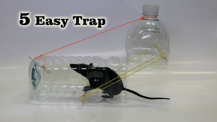 5 Easy Mouse.Rat Trap