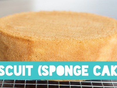 BASIC SPONGE CAKE (BISCUIT BODEM) | RECIPE
