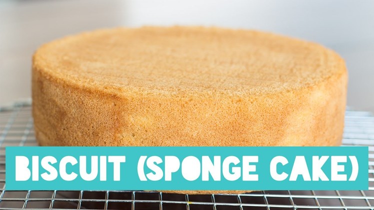 BASIC SPONGE CAKE (BISCUIT BODEM) | RECIPE