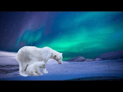 Polar Bear Aurora Borealis Landscape LIVE Acrylic Painting Tutorial
