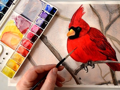 Watercolour Painting of a Cardinal Bird from Paint my Photo Reference