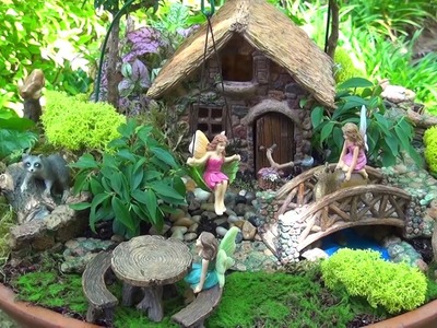 All About Fairy Gardens with Dave Forehand