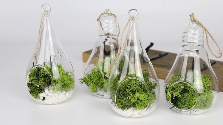 How To Make Your Own Hanging Glass Terrarium