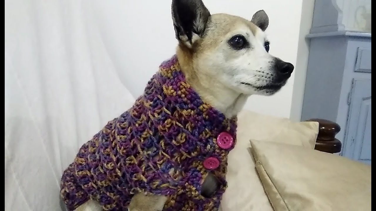 EASY CROCHET DOG SWEATER any size tutorial