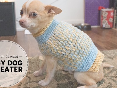 Easy Crochet Dog Sweater  Part 1 of 2 | Last Minute Laura