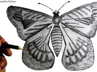 How to draw a butterfly for kids - step by step pencil drawing with narration.