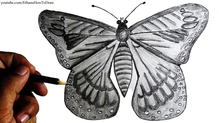 How to draw a butterfly for kids - step by step pencil drawing with narration.