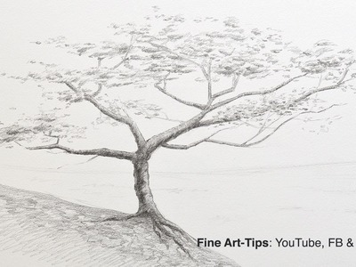 How to Draw a Tree With Pencil