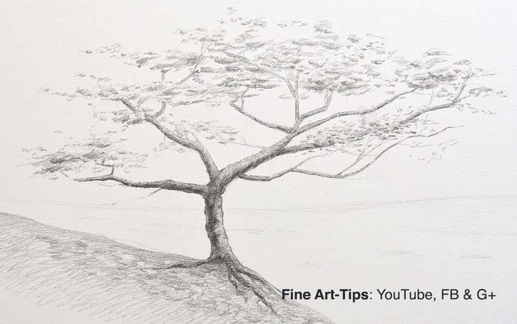 How to Draw a Tree With Pencil
