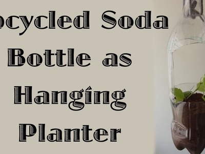 Hanging Soda Bottle Planter