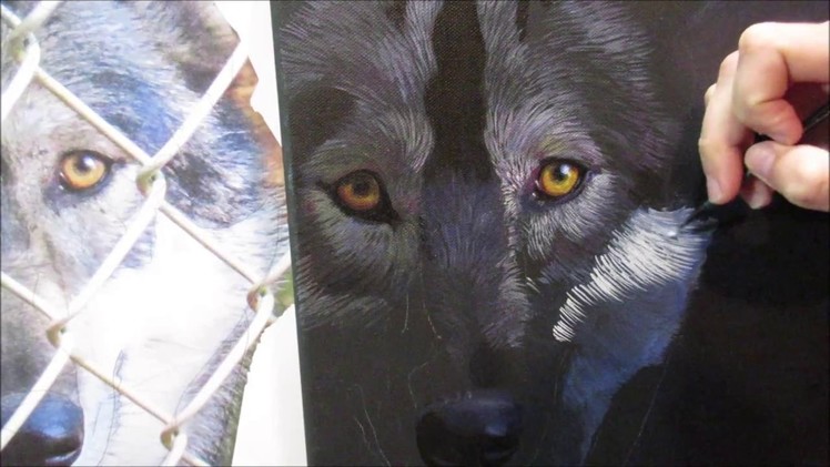 Painting a Gray Wolf in acrylics