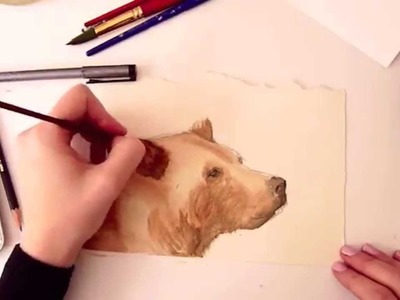 Time Lapse Painting : Brown Bear (Sketchbook Journal)