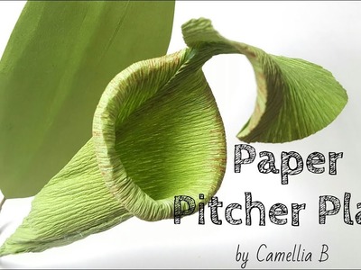 DIY: How to make paper Pitcher plant from crepe paper - Easy and realistic paper flower