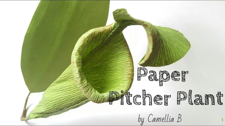 DIY: How to make paper Pitcher plant from crepe paper - Easy and realistic paper flower