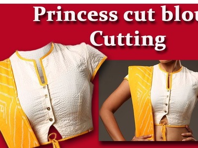 Princess cut Blouse cutting well explained easy method DIY Hindi Tutorial for beginners