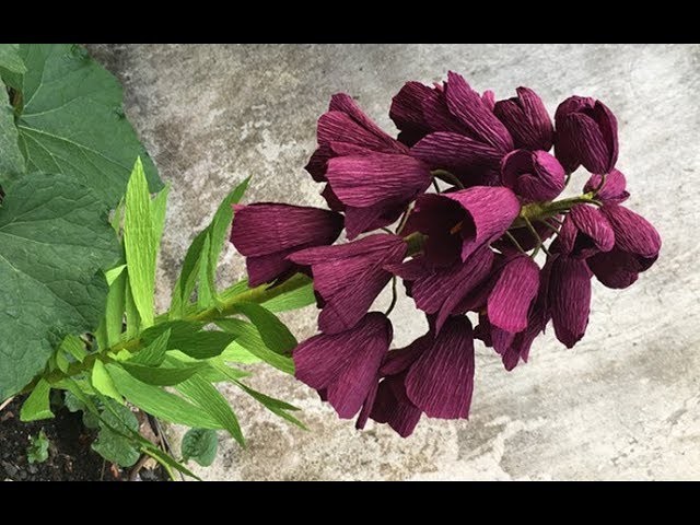 ABC TV | How To Make Fritillaria Persica Paper Flower From Crepe Paper - Craft Tutorial