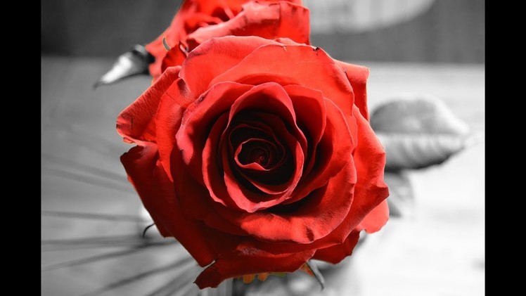 How to make a beautiful and amazing red rose with crepe paper!