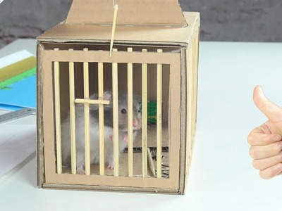 How to Make Rat Trap from Cardboard at Home