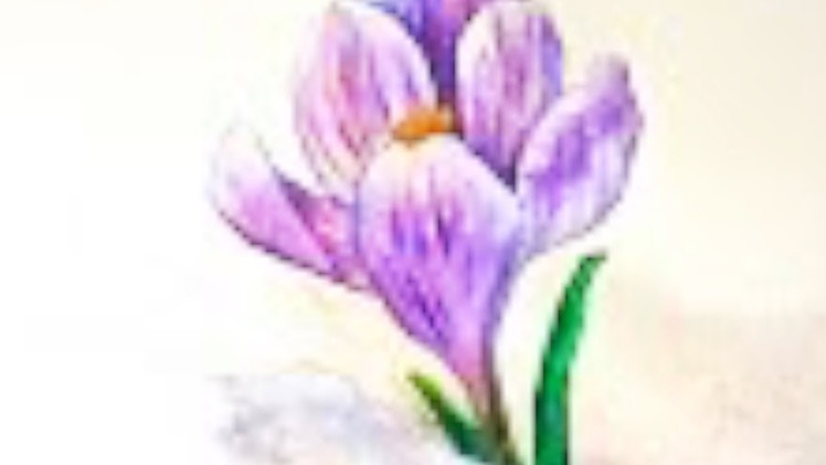 Crocus flower in snow watercolor tutorial, easy step by step for beginners