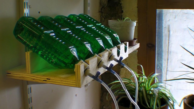 My Green Corner