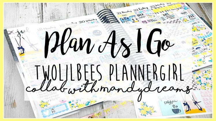 Plan With Me Collab w. MandyDreams. TwoLilBees PlannerGirl. Erin Condren