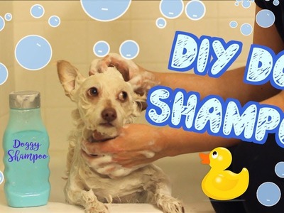 DIY Dog Shampoo | Pet DIYs