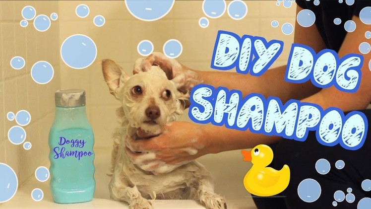DIY Dog Shampoo | Pet DIYs