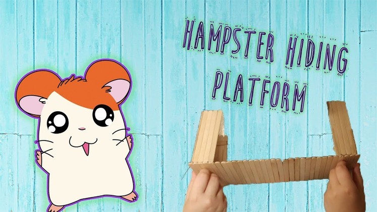 DIY Hamster Cage Platform