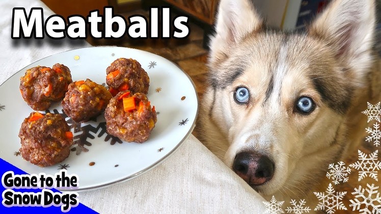Homemade Meatballs for Dogs | DIY Dog Treats Recipe 92 | Homemade Dog Treats