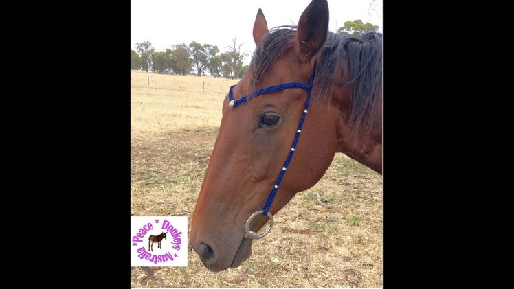 How to make a custom, minimalist bridle, with paracord and beads