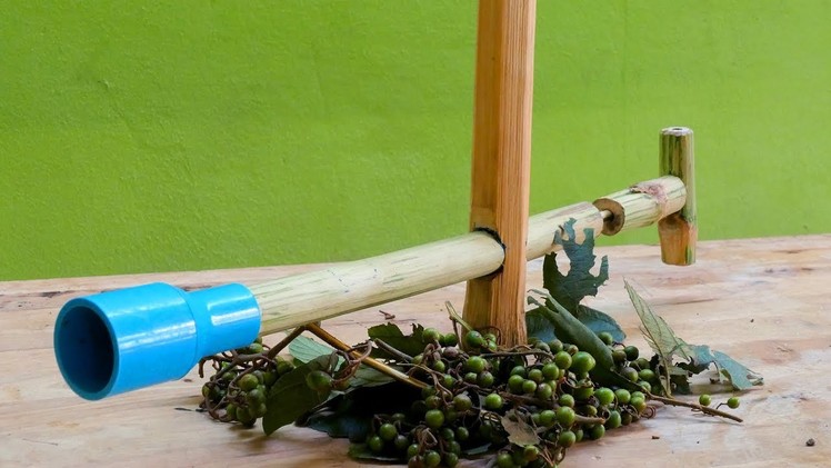 DIY Bamboo Gun Use Fruit Bullets - How to make bamboo gun for fun