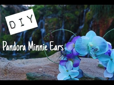 DIY Pandora : The World of Avatar Ears