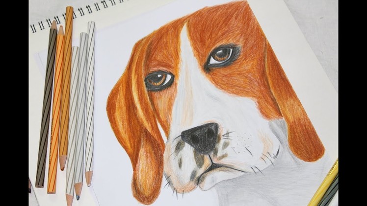 HOW TO DRAW A DOG! Realistic Drawing Tutorial Step by Step ll Simple&Easy