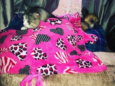 Upcycled Pajama Pet Blankets | Valentine's Day DIY