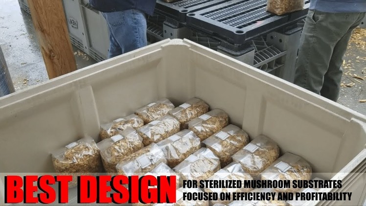 Best Mushroom Substrate Sterilizer Based On Cost, Profitability, And Farm Efficiency: DIY Steam Tank