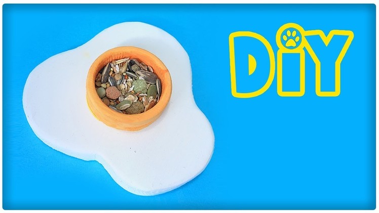 DIY Fried Egg Bowl For Small Pets