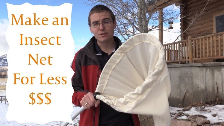 DIY Insect Sweep Net for Less Money